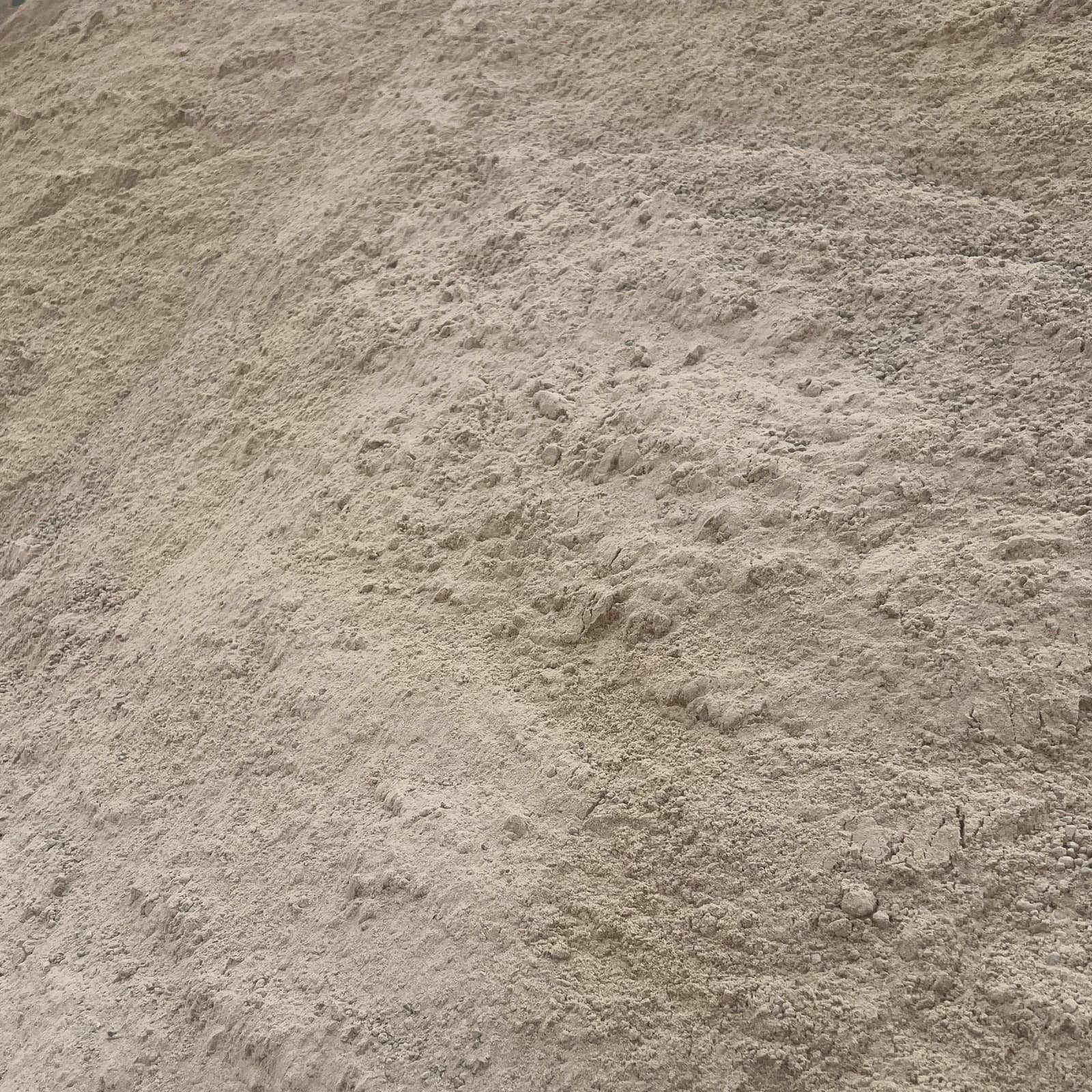 Sable 03 — image 2/2