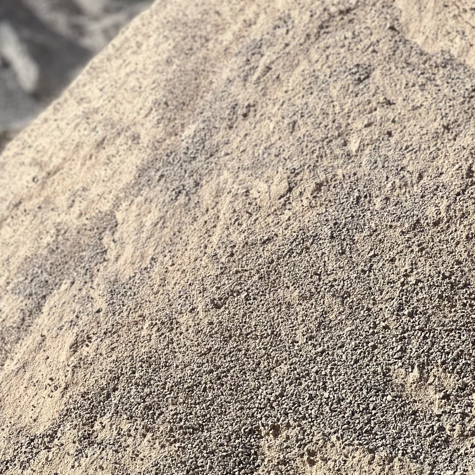 Sable 04 — image 2/2