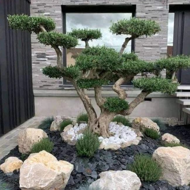 Aménagement  des espaces verts  — photo 4/5