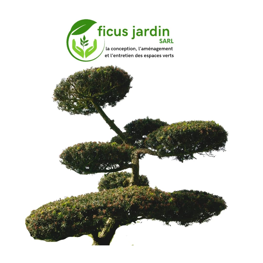 Les  Arbres en boules — image 4/6