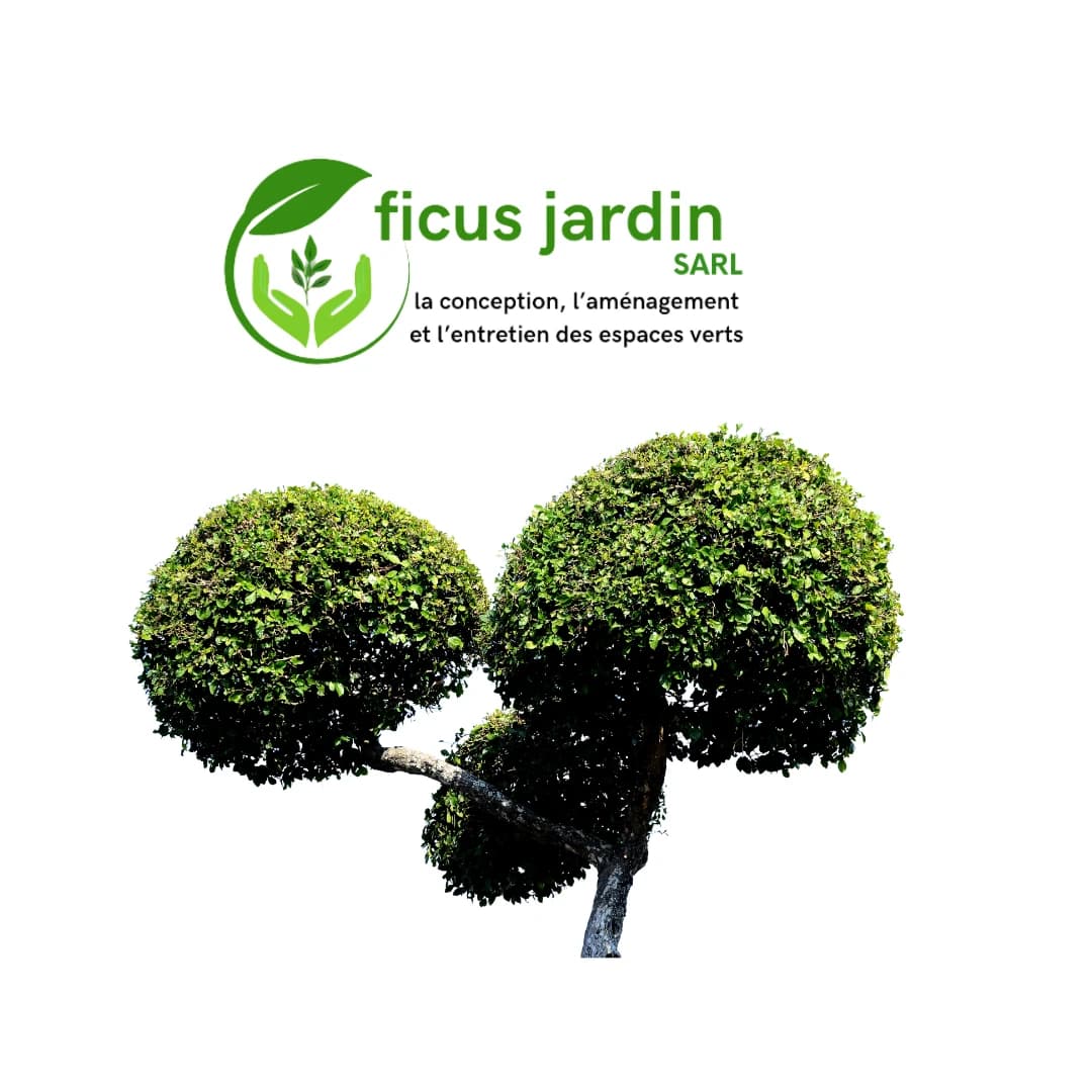 Les  Arbres en boules — image 5/6