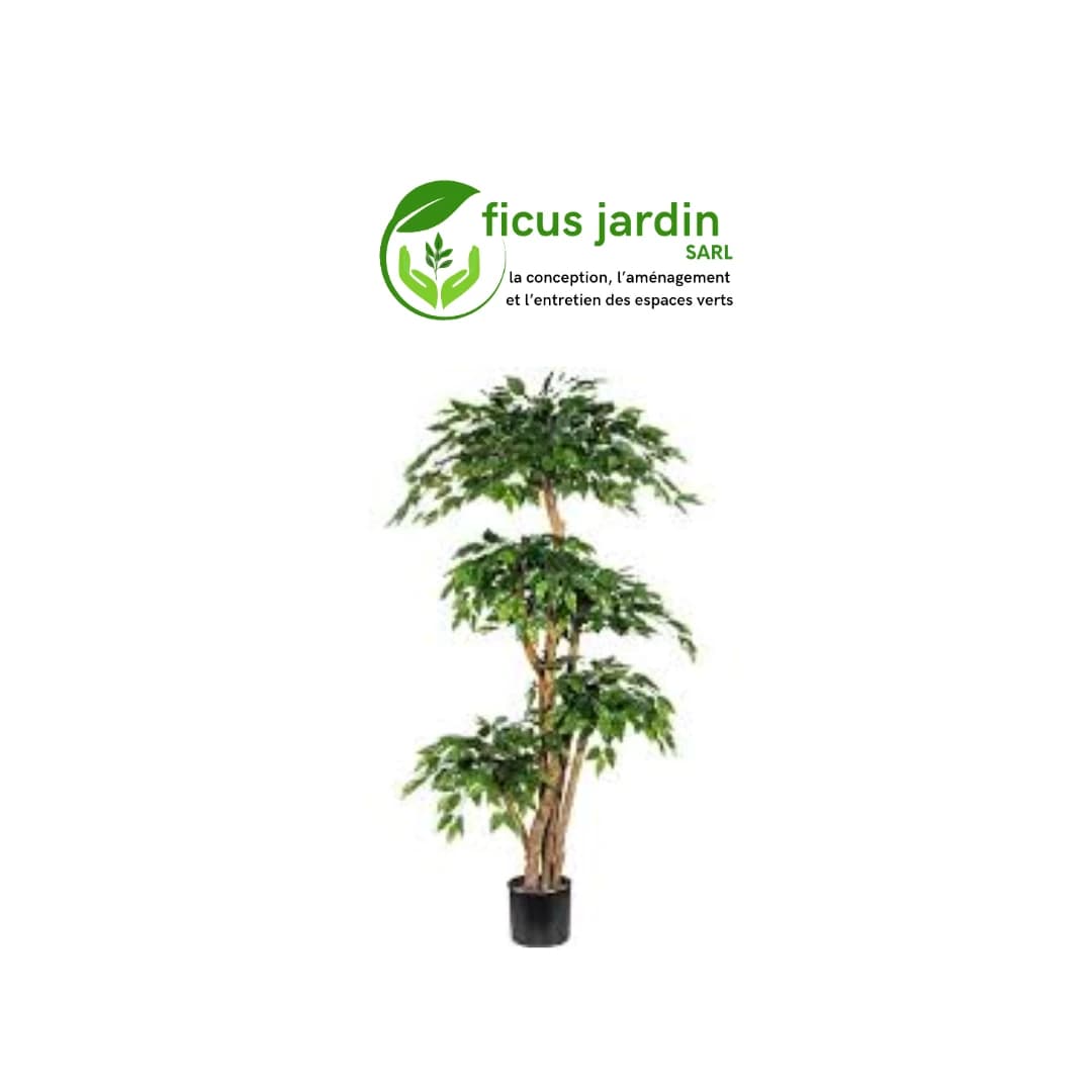 Les  Arbres en boules — image 6/6