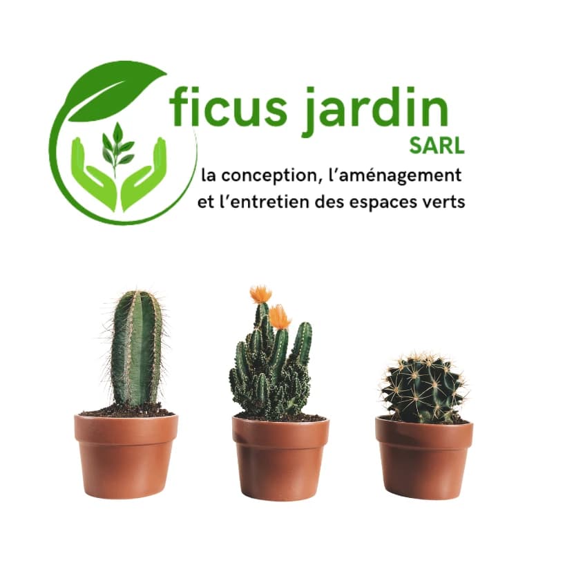 Cactus de jardin — image 2/5