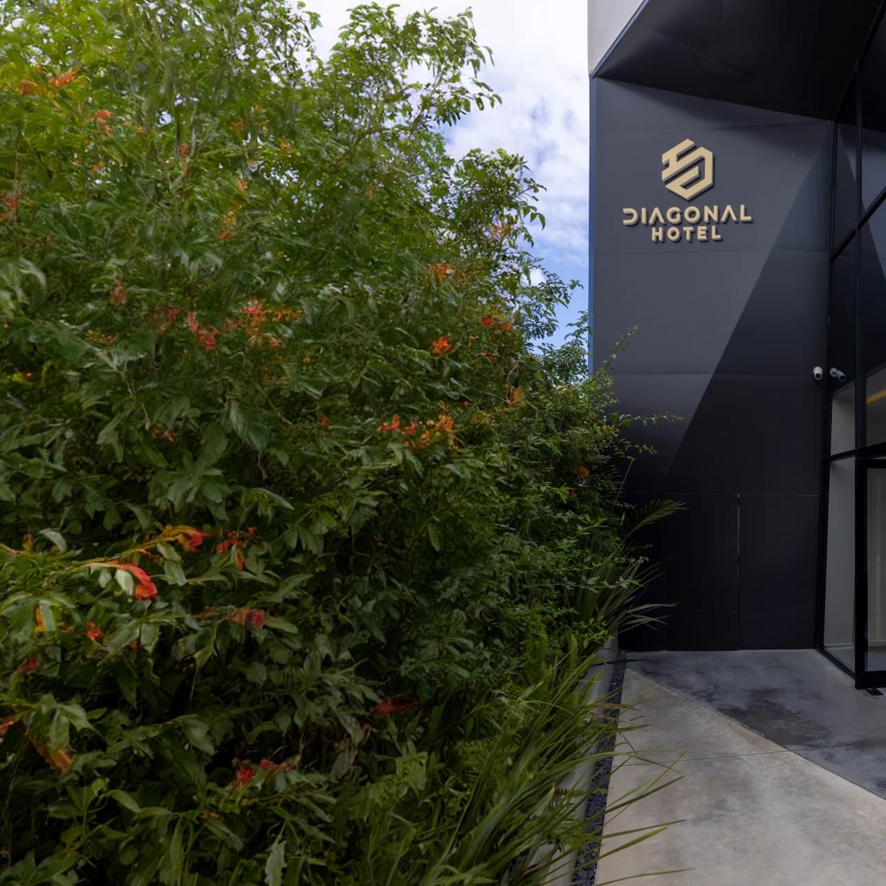 Hotel Diagonal