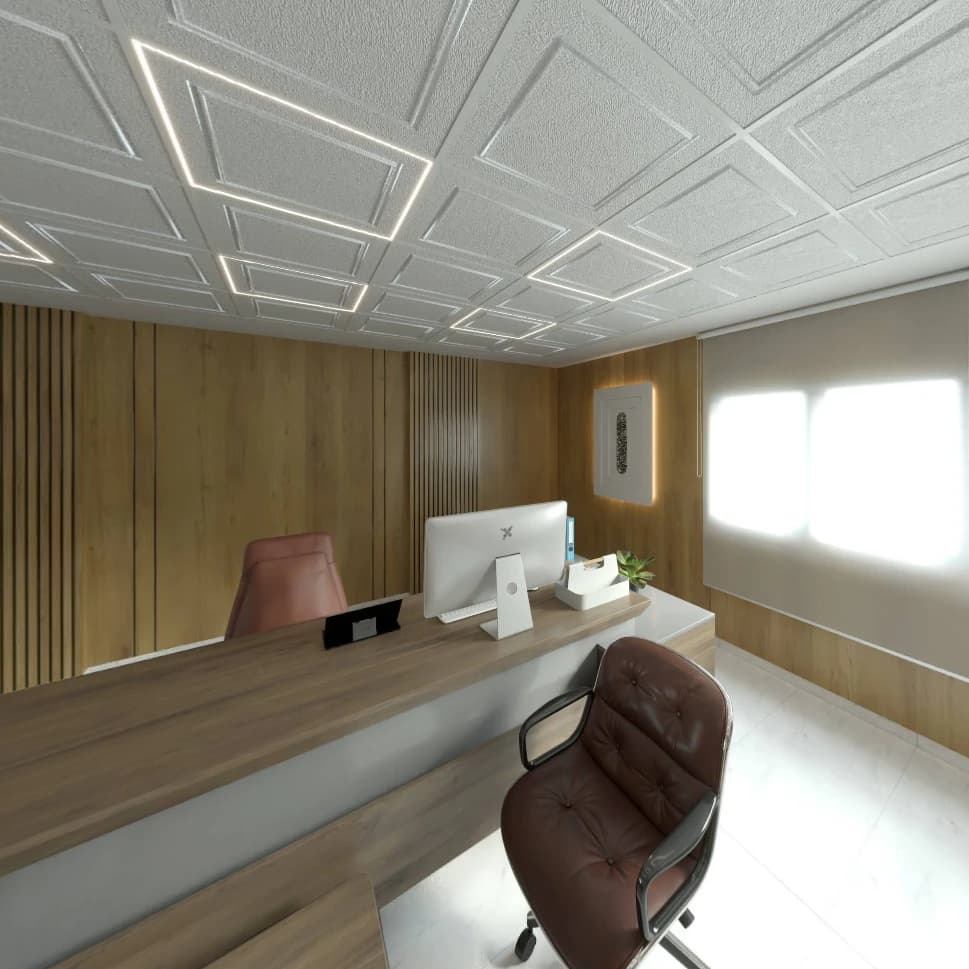 plateaux bureaux — photo 2/6