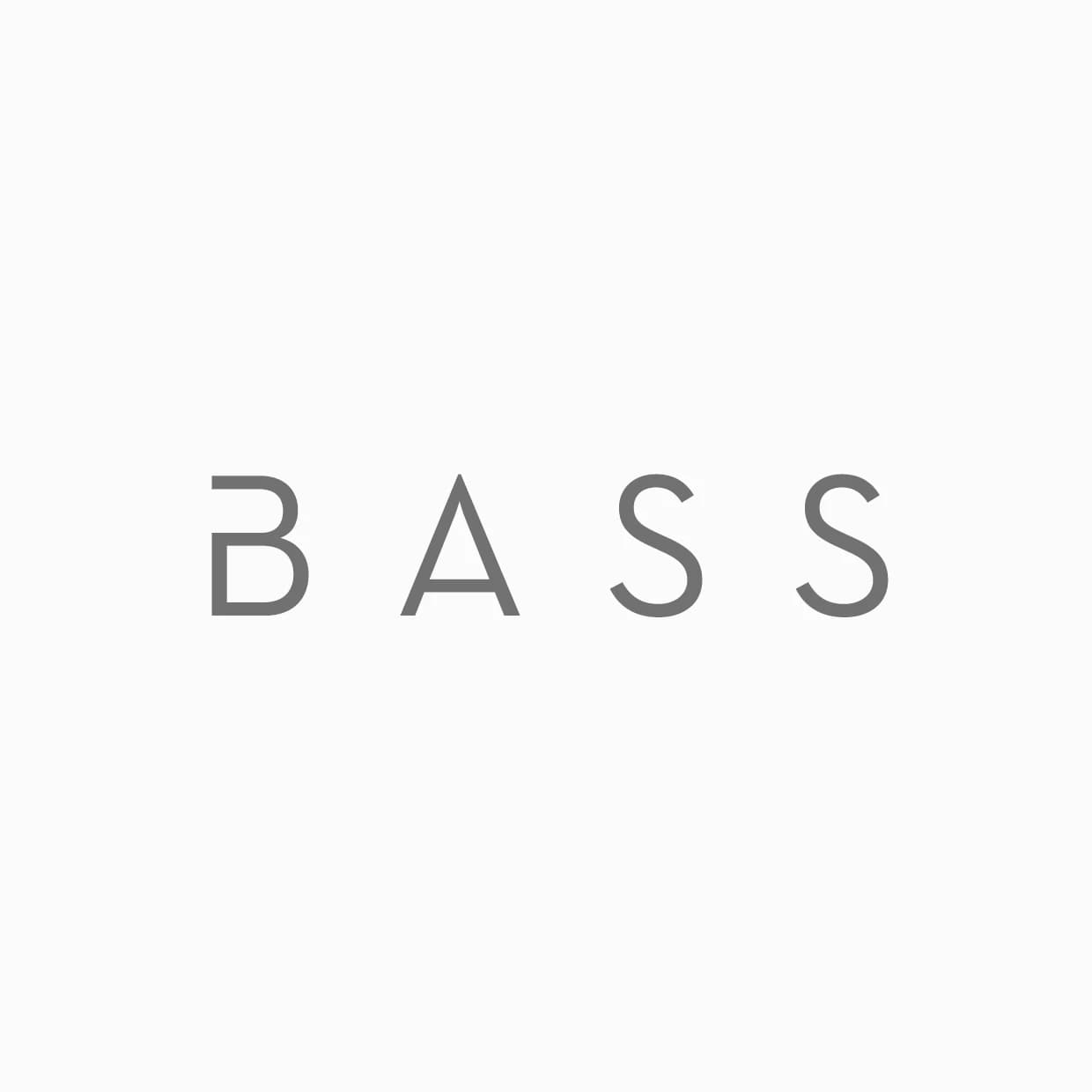 Logo Bass studio