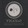 Logo de ste vigolo amenagement et travaux divers