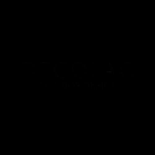 Logo DECOLAG