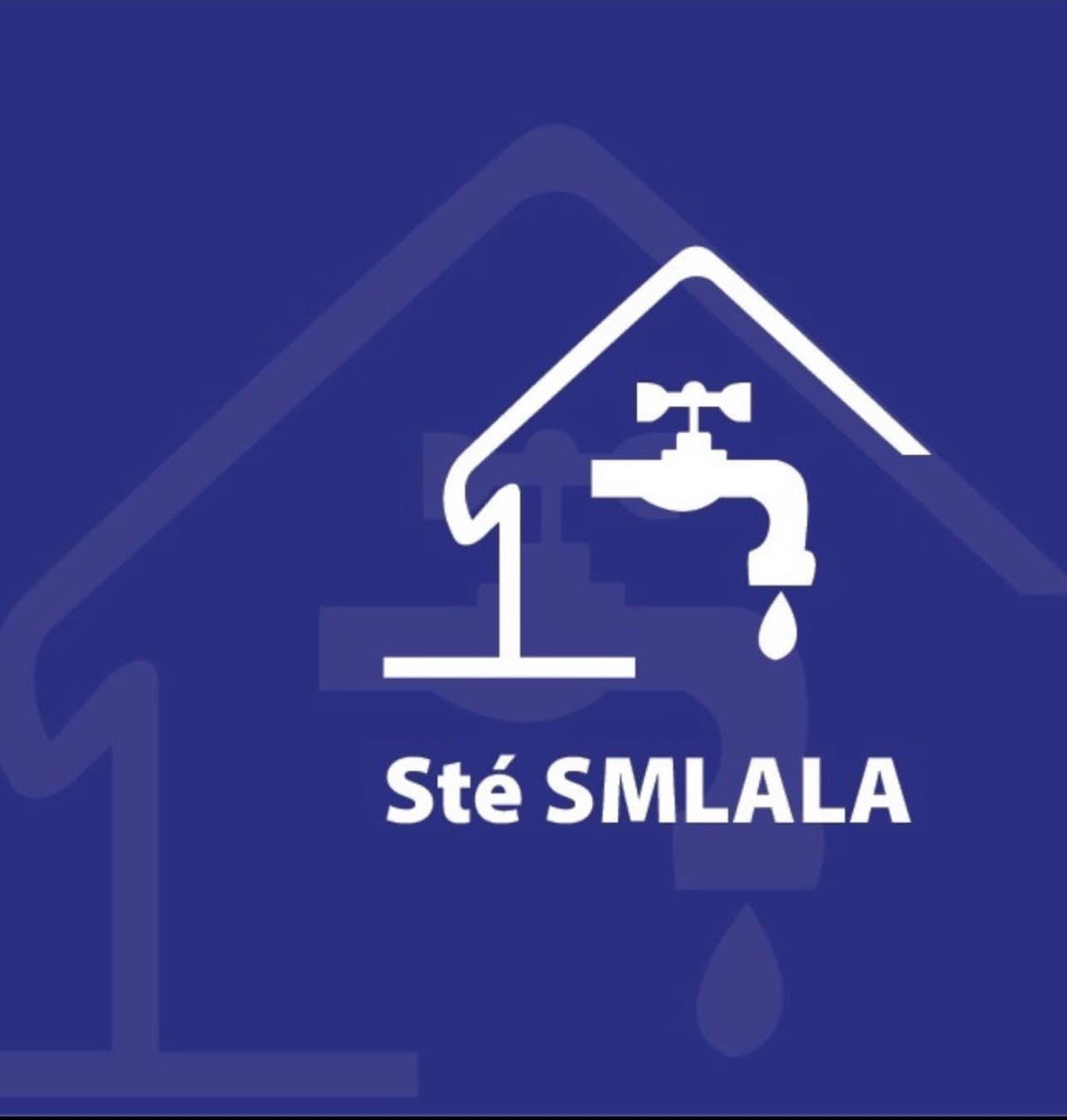 Logo STE SMLALA
