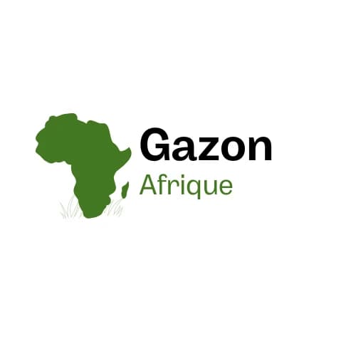 Logo Solutions Gazon Afrique