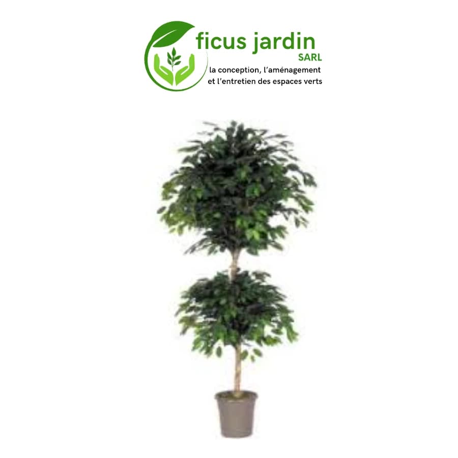 Les Arbres en boules Les Arbres en boules