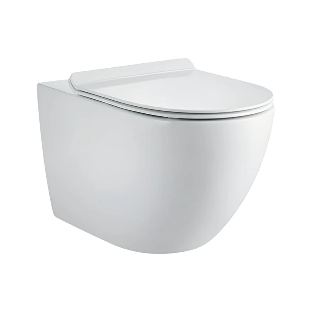 Toilette Suspendue Blanche Toilette Suspendue Blanche