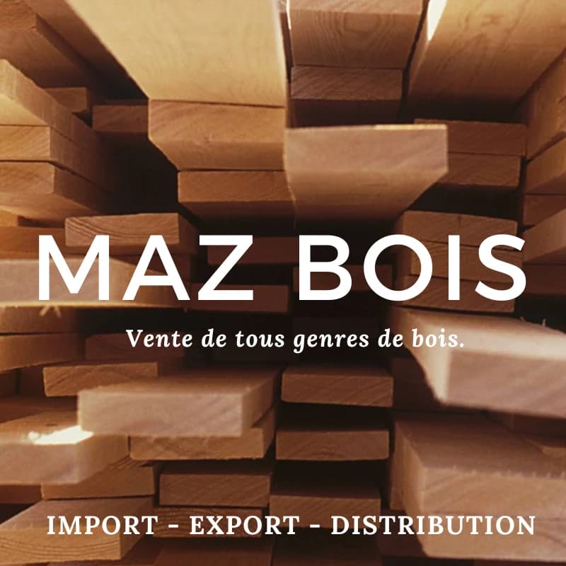 Logo MAZ BOIS SARL Logo MAZ BOIS SARL