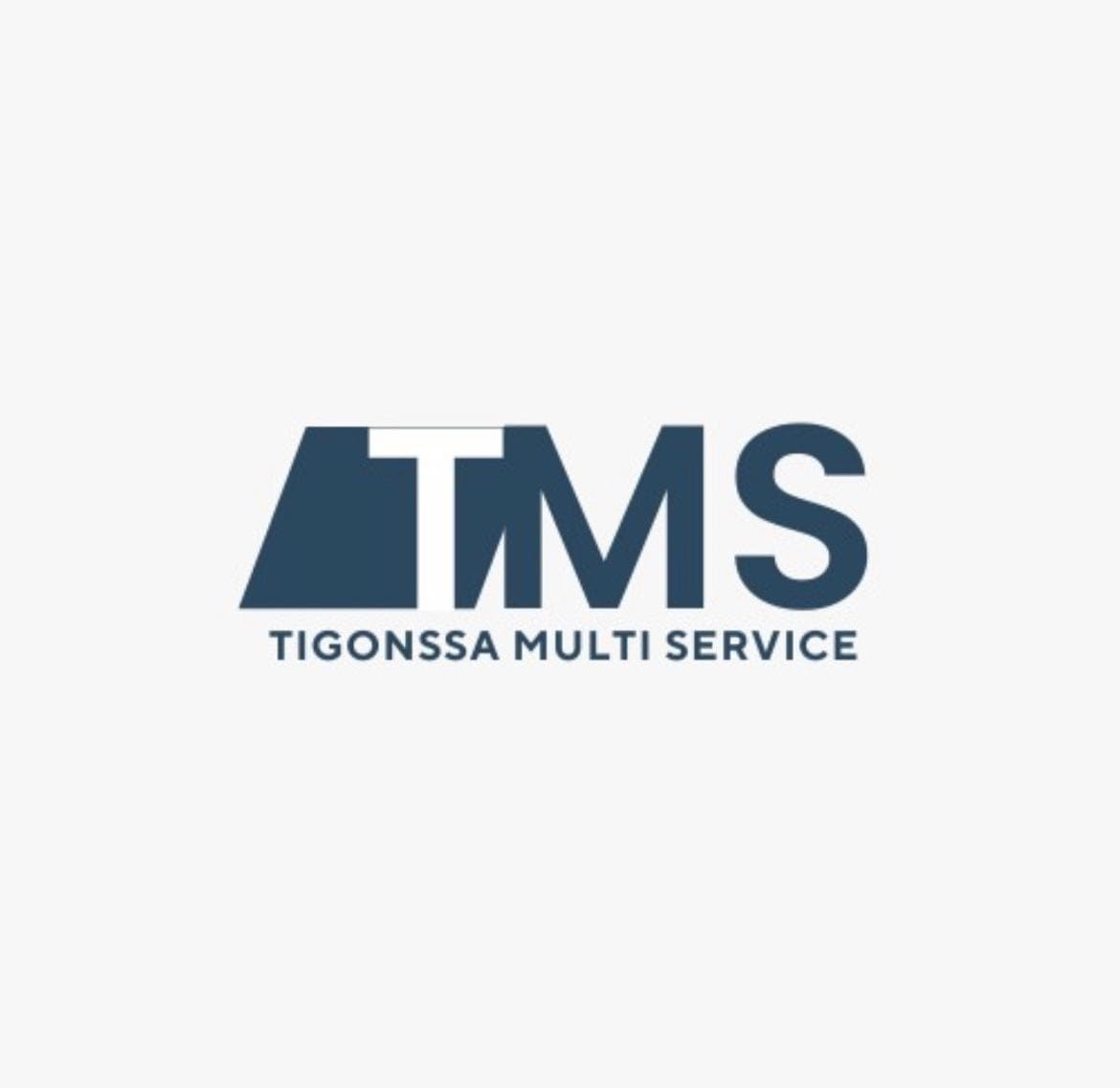 Logo ste tigonssa multi service sarl au Logo ste tigonssa multi service sarl au