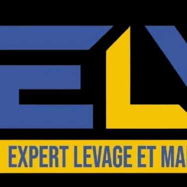 Logo Expert levage et manutention Logo Expert levage et manutention